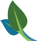 Precision Janitorial Services logo