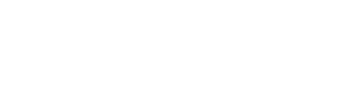 Sandeen & Lee Plastic Surgery logo